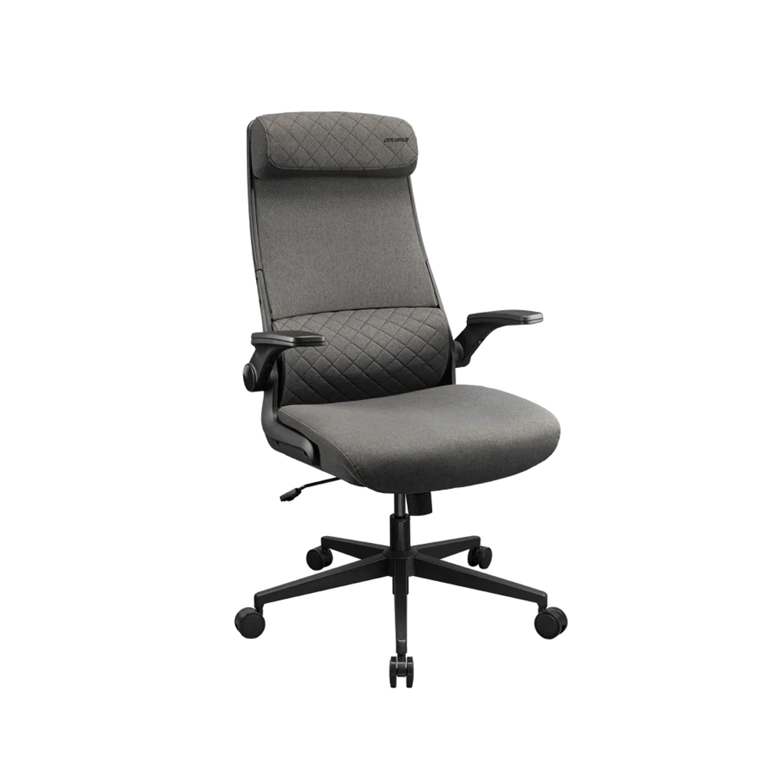 Компьютерное кресло Cougar Stryder (3MSTDGRB.0001) серый