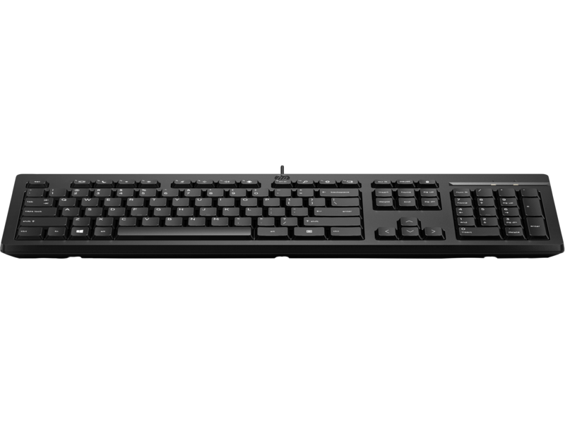 Клавиатура HP 125 Wired [мембранная, проводная, черный]
