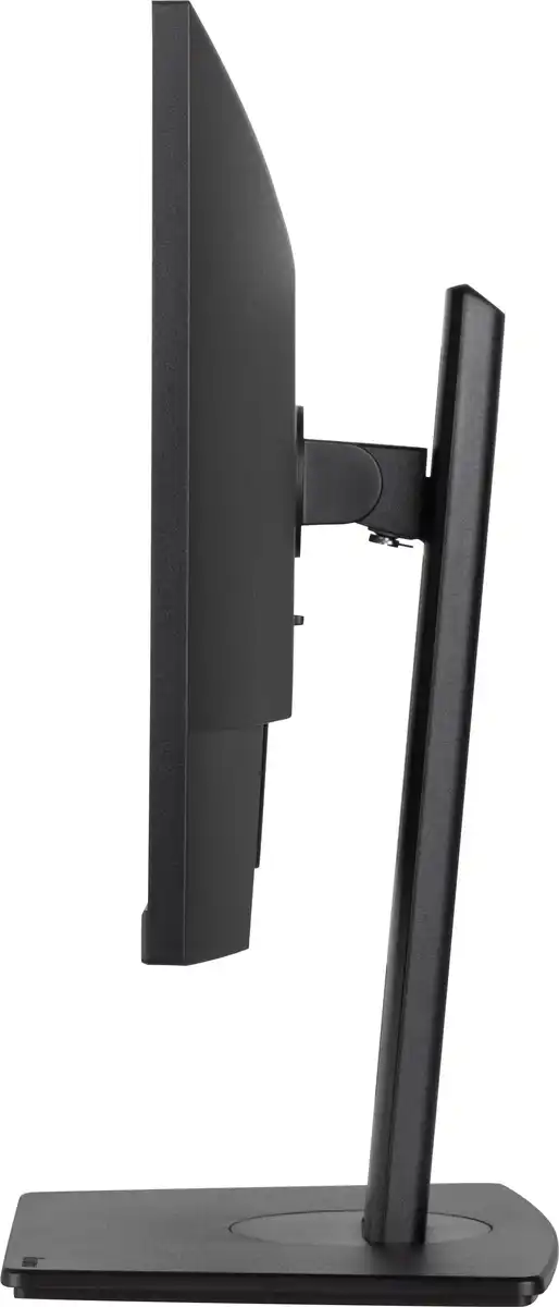 Монитор Iiyama ProLite PL2493HS (XUB2493HSU-B7 A) [23.8", IPS, 1920x1080, 100 Гц, 1 мс, HDMI, DisplayPort]