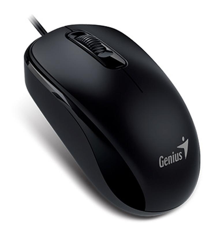 Мышка оптическая Genius DX-110, Black, G5 31010116100 