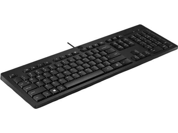 Клавиатура HP 125 (AY2Y7AA) [мембранная, проводная, черная]