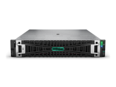 Сервер HPE DL385 Gen11 (P81843-425)