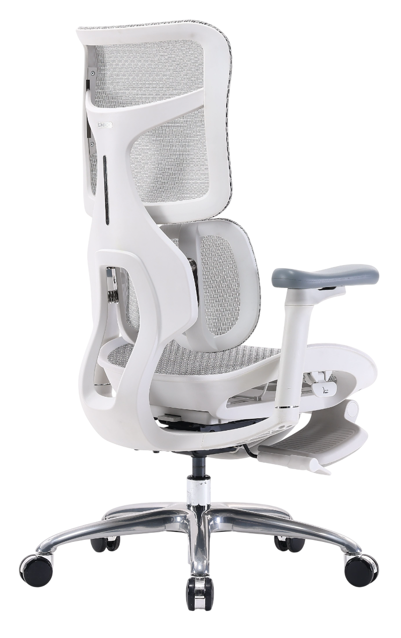 Кресло офисное компьютерное Sihoo S100-B303-JT, Серый