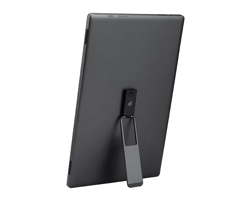 Монитор MSI PRO MP161 E2 [15.6", IPS, 1920x1080, 60 Гц, 4 ms, Mini HDMI, USB Type-C x2]