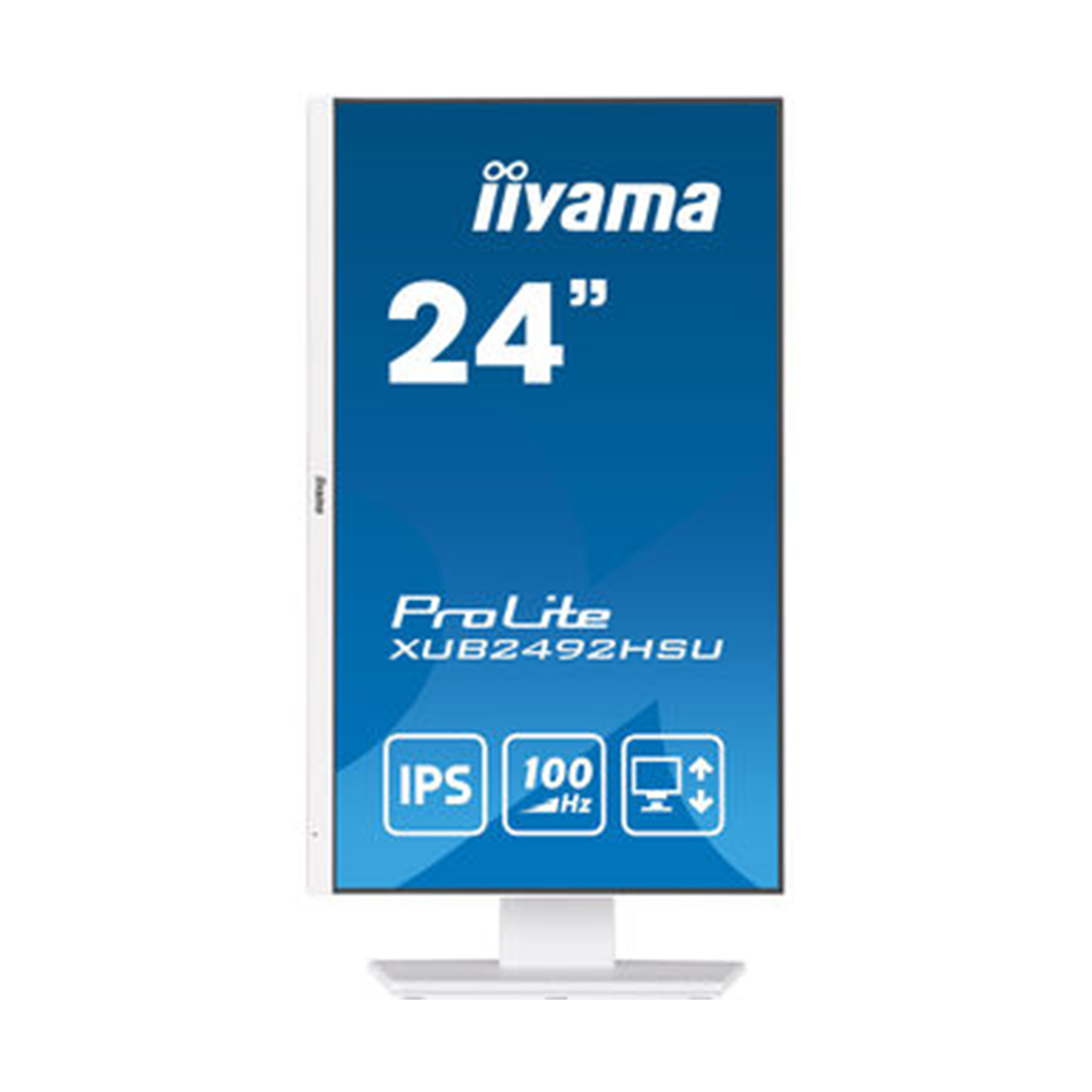 Монитор Iiyama ProLite PL2492H (XUB2492HSU-W6) [23.8", IPS, 1920x1080, 100 Гц, 0.4 мс, HDMI, DisplayPort]
