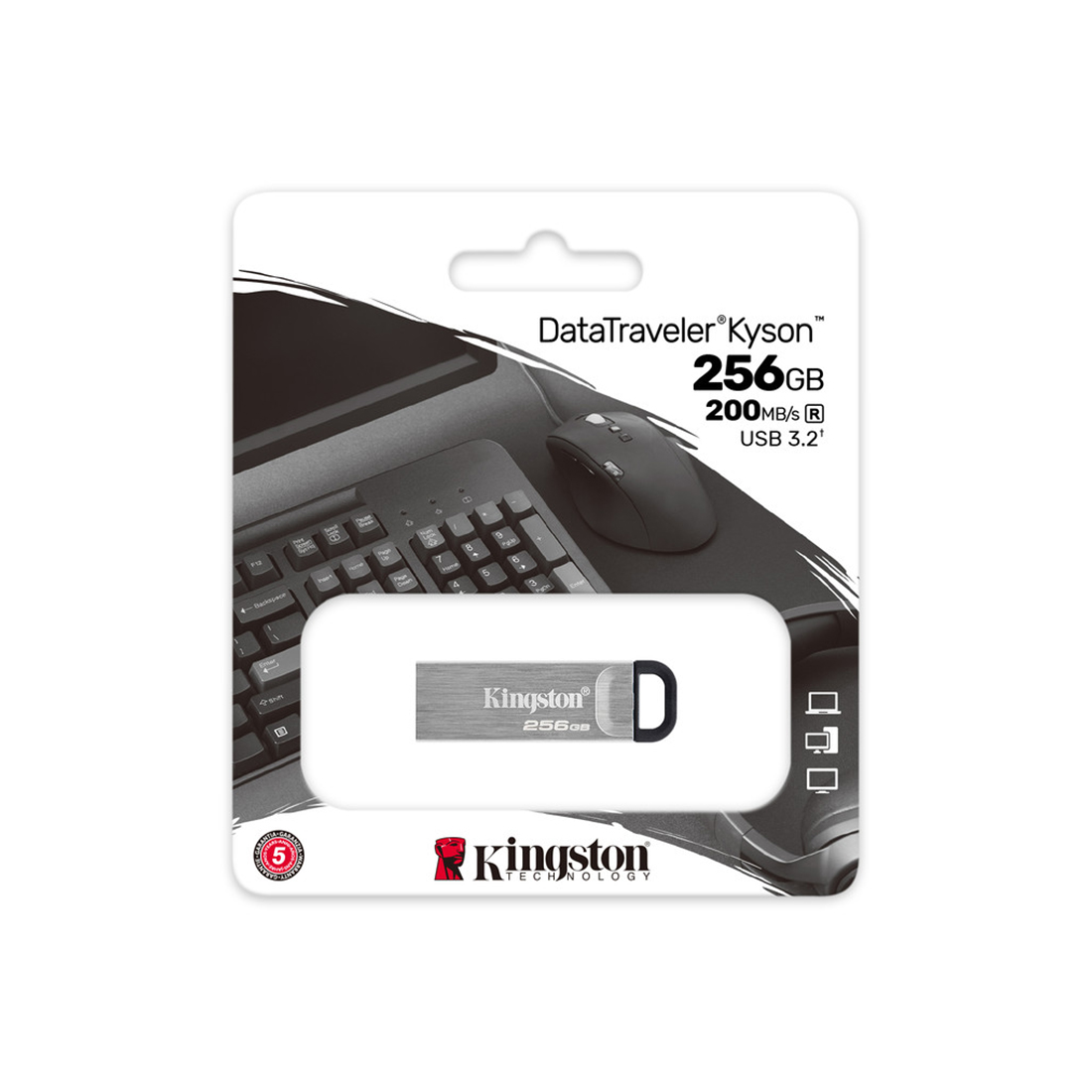 USB-накопитель Kingston DTKN/256GB 256GB Серебристый