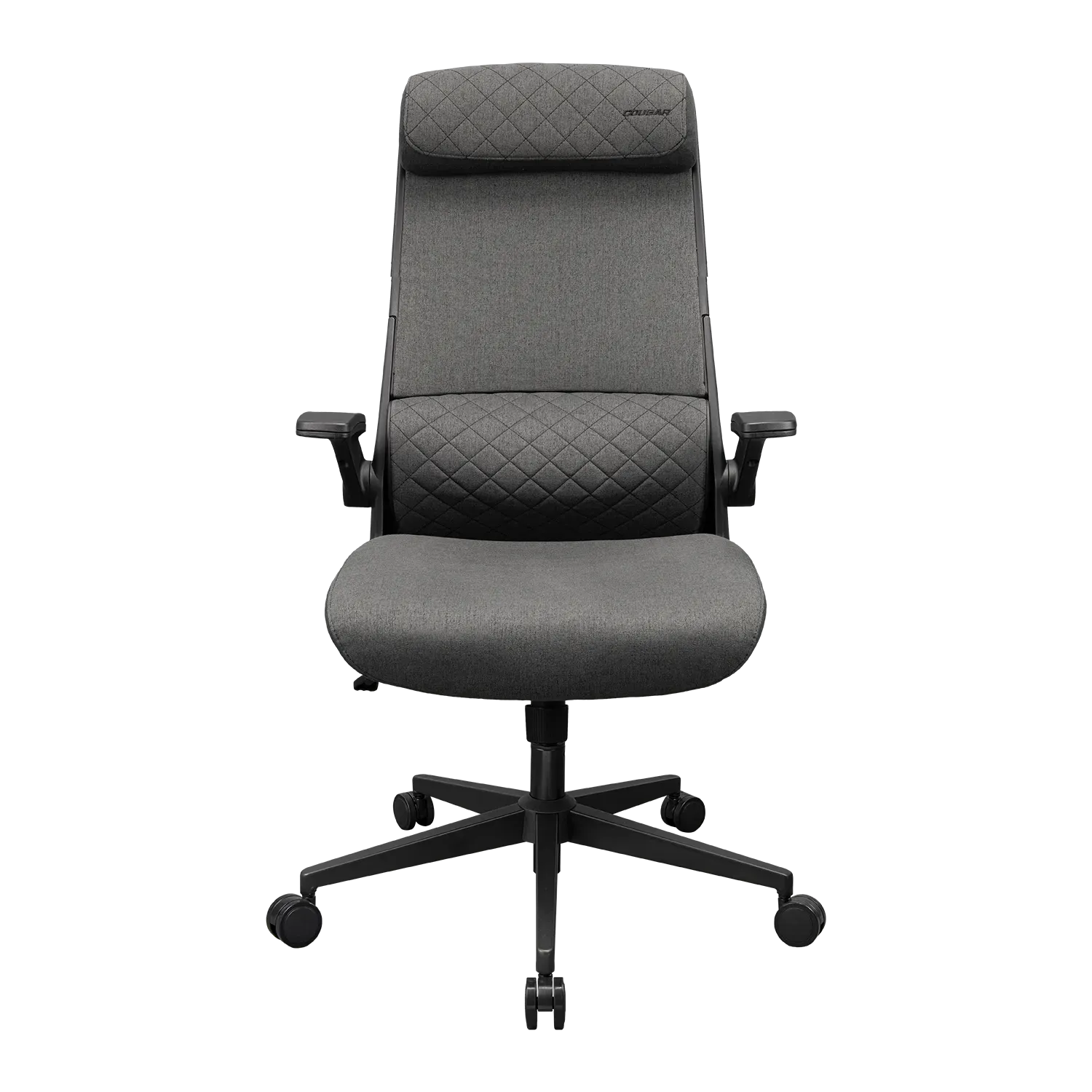 Компьютерное кресло Cougar Stryder (3MSTDGRB.0001) серый