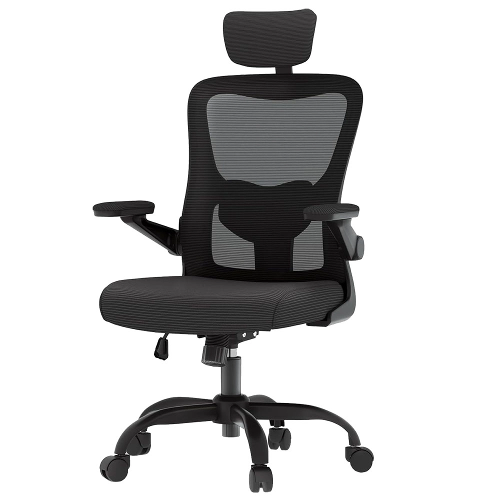 Кресло офисное компьютерное FlexiSpot OC1-B, Black