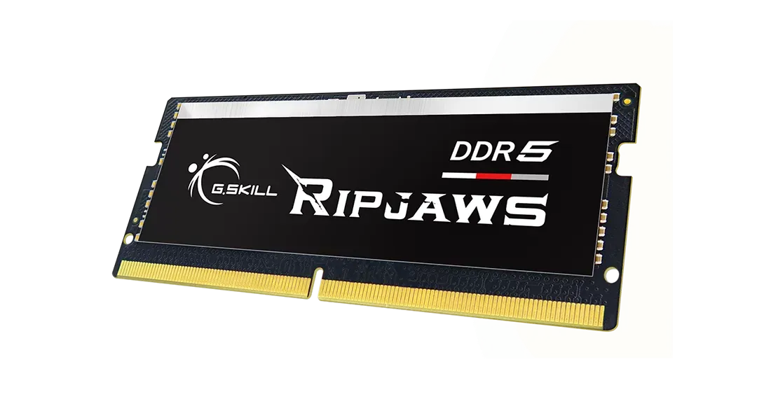 Оперативная память для ноутбука G.Skill RipJaws (F5-5600S4645A48GX1-RS) [48 ГБ, DDR 5, 5600 МГц, 1.1 В]