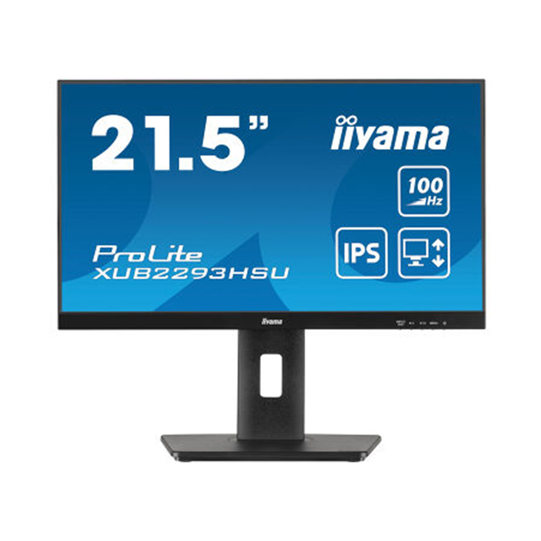 Монитор Iiyama PL2293H (XUB2293HSU-B7) [21.5", IPS, 1920x1080, 100 Гц, 1 мс, HDMI, DisplayPort]