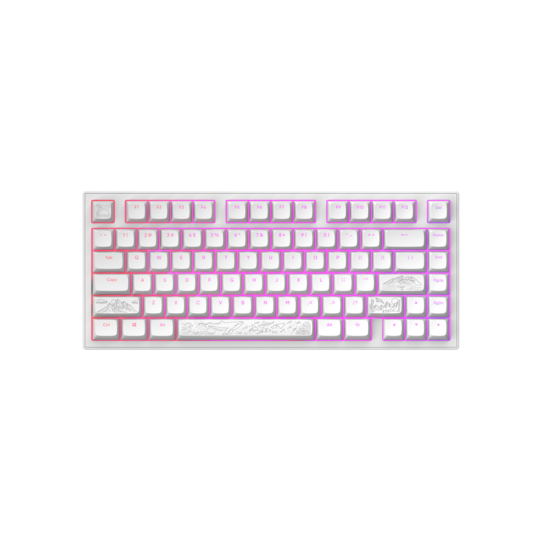 Клавиатура Dark Project ALU81A Terra Nostra White (DPKB_NOSTRA_81_ANSI_WHITE) [механическая, проводная, RGB подсветка, G3MS Moonstone, белая]