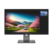 Монитор Lenovo ThinkVision P32UD-40 (C25315UP0) [31.5", IPS, 3840x2160, 120Гц, 4 мс, HDMI, DisplayPort, USB Type-C]