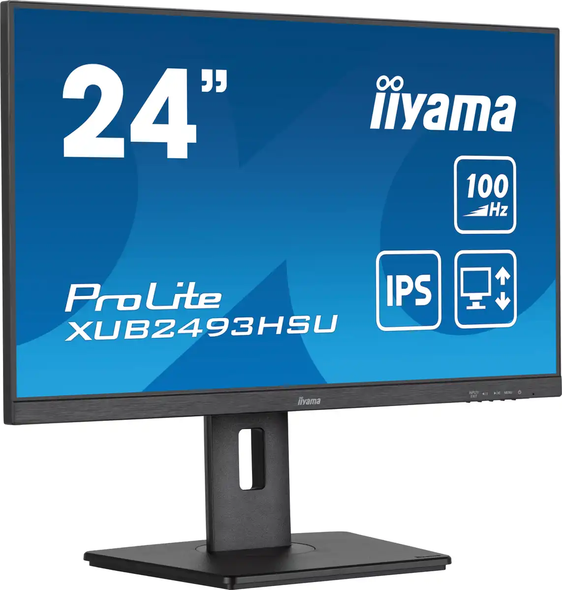 Монитор Iiyama ProLite PL2493HS (XUB2493HSU-B7 A) [23.8", IPS, 1920x1080, 100 Гц, 1 мс, HDMI, DisplayPort]