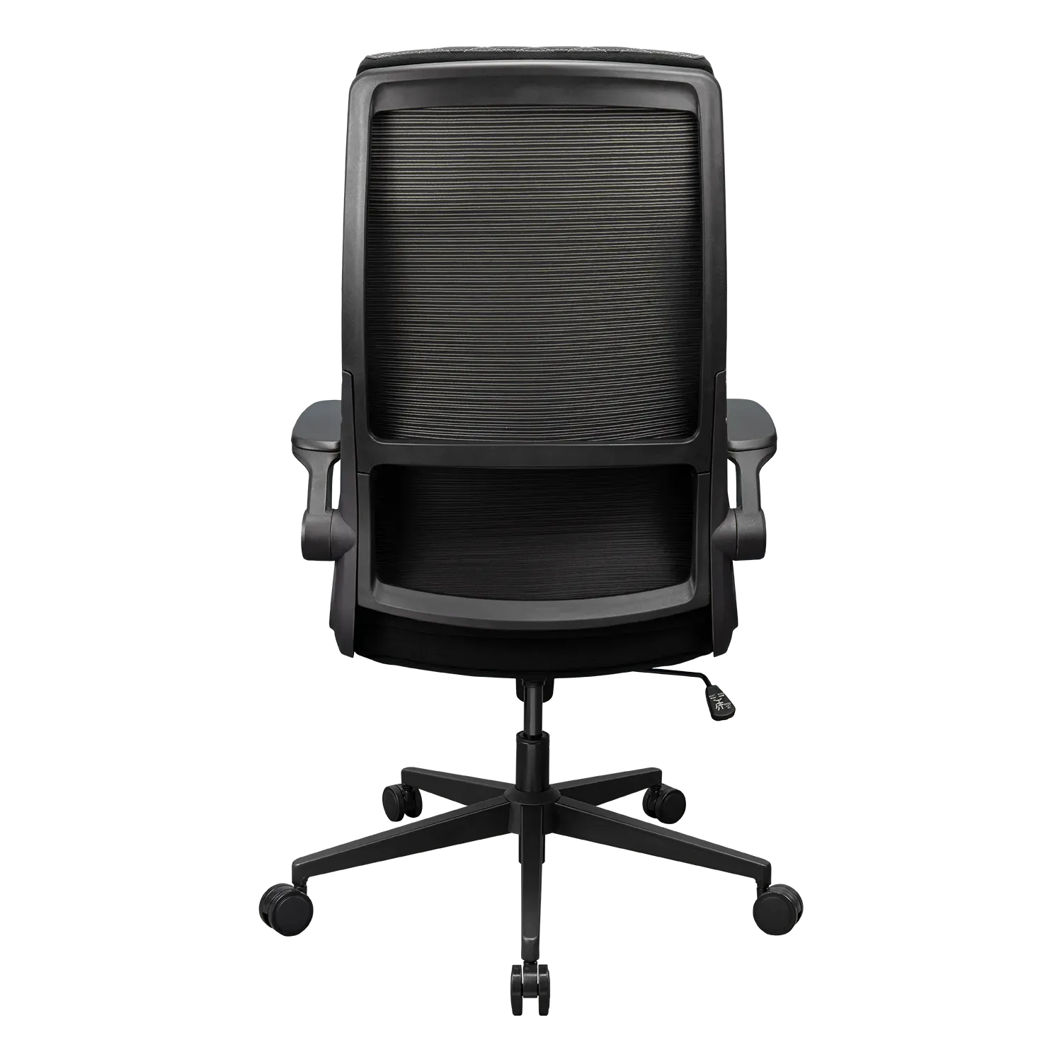 Компьютерное кресло Cougar Stryder (3MSTDBLB.0001) черный