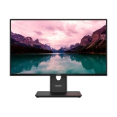 Монитор Lenovo ThinkVision T24-40 (64A4MATXEU) [23.8", IPS, 1920x1080, 120Гц, 4 мс, HDMI, DisplayPort, VGA (D-Sub)]