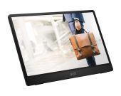 Монитор MSI PRO MP161 E2 [15.6", IPS, 1920x1080, 60 Гц, 4 ms, Mini HDMI, USB Type-C x2]