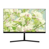 Монитор Sanc M2253FKJ [21.5", VA, 1920x1080, 100 Гц, 5 мс, HDMI, VGA (D-Sub)]