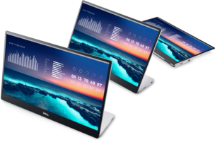 Монитор Dell P1424H (210-BHQQ) [14" IPS, 1920x1080, USB Type-C x2 (DisplayPort)]