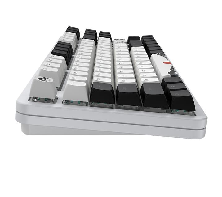 Клавиатура Dark Project One 87 Fuji V2 (DPKB_FUJI_87_ANSI_UA) [Механическая, проводная, клавиш - 87, подсветка, белая]