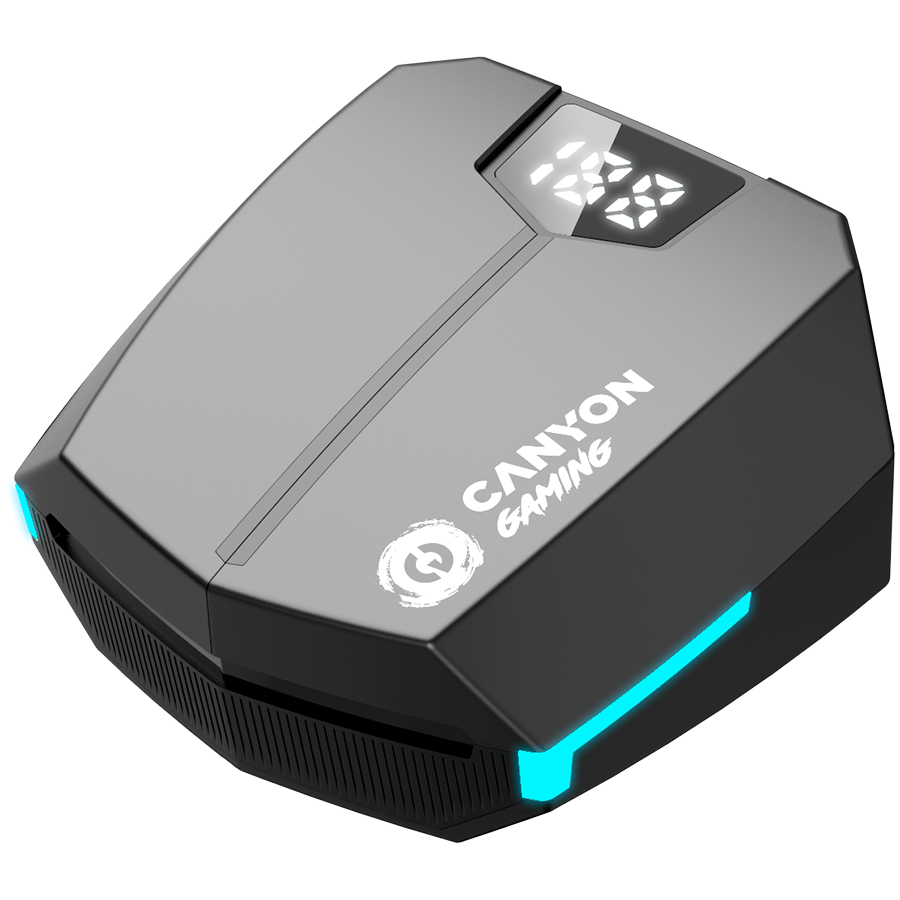 Наушники Canyon Doublebee GTWS-2 Gaming (CND-GTWS2B) черный