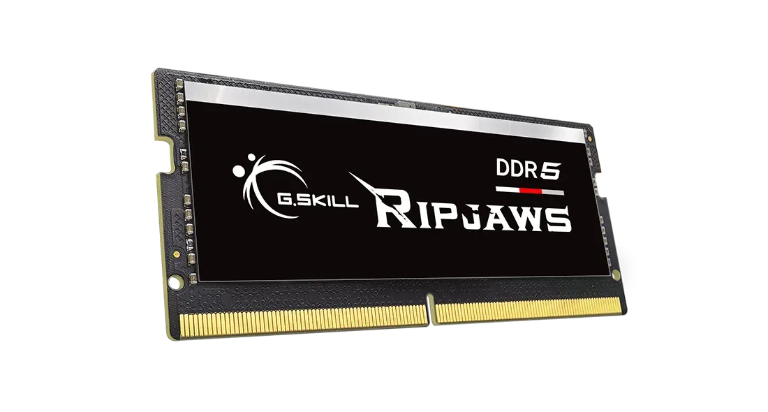 Оперативная память для ноутбука G.Skill RipJaws (F5-5600S4645A48GX1-RS) [48 ГБ, DDR 5, 5600 МГц, 1.1 В]
