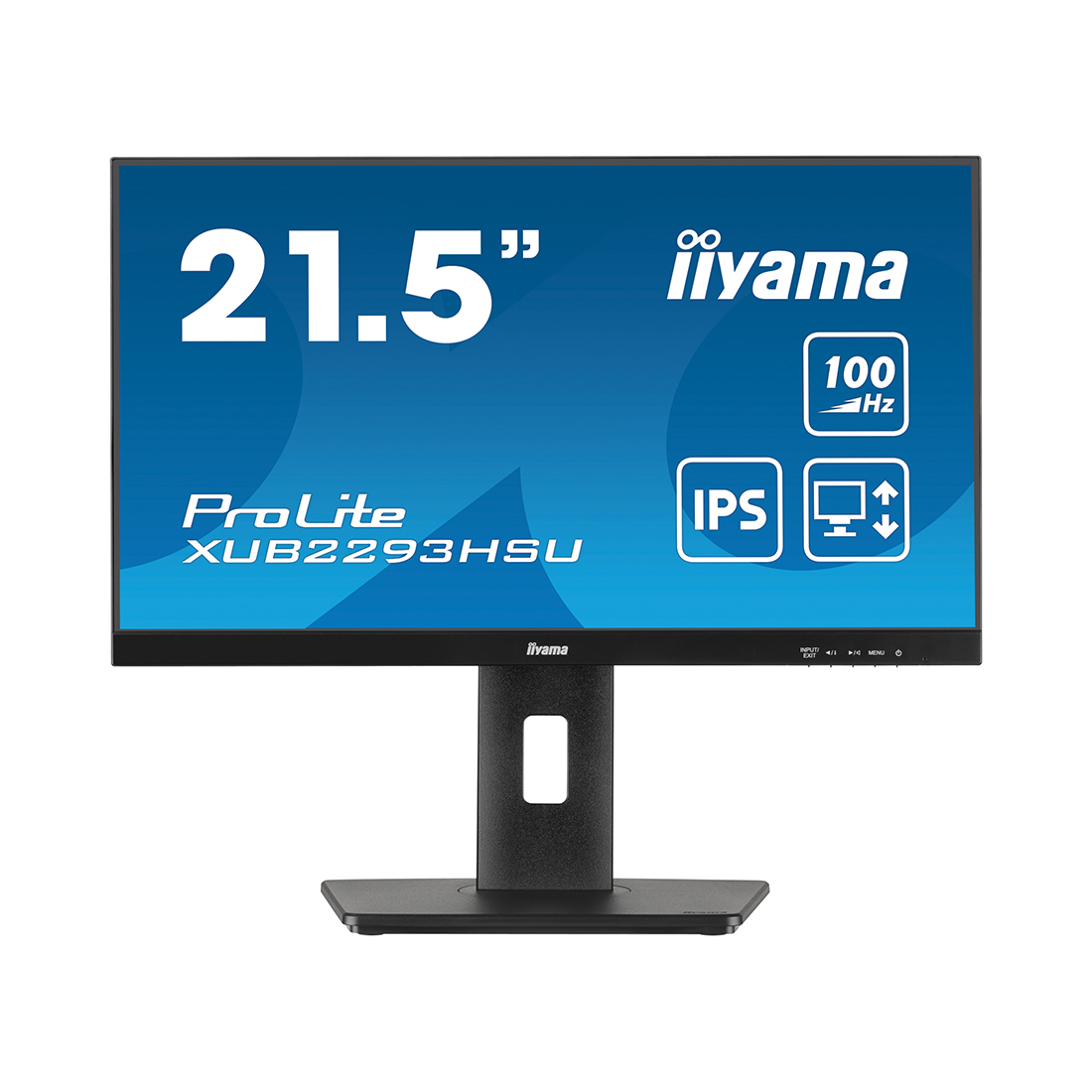 Монитор Iiyama ProLite PL2293HS (XUB2293HSU-B6) [21.5", IPS, 1920x1080, 100 Гц, 1 мс, HDMI, DisplayPort]