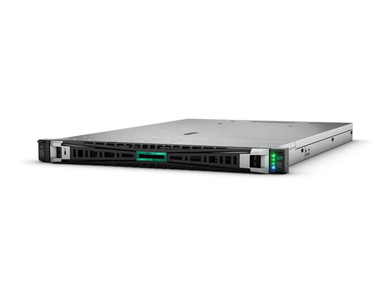Сервер HPE DL325 G11 (P77252-425)