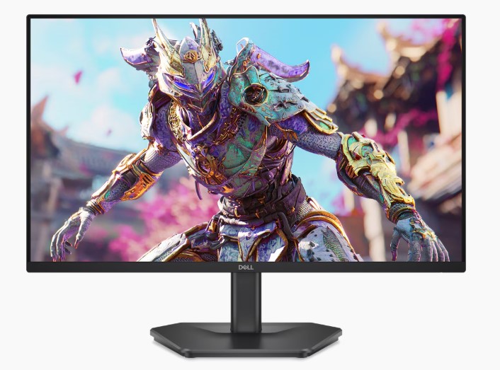 Монитор Dell SE2426HG (210-BTTF)