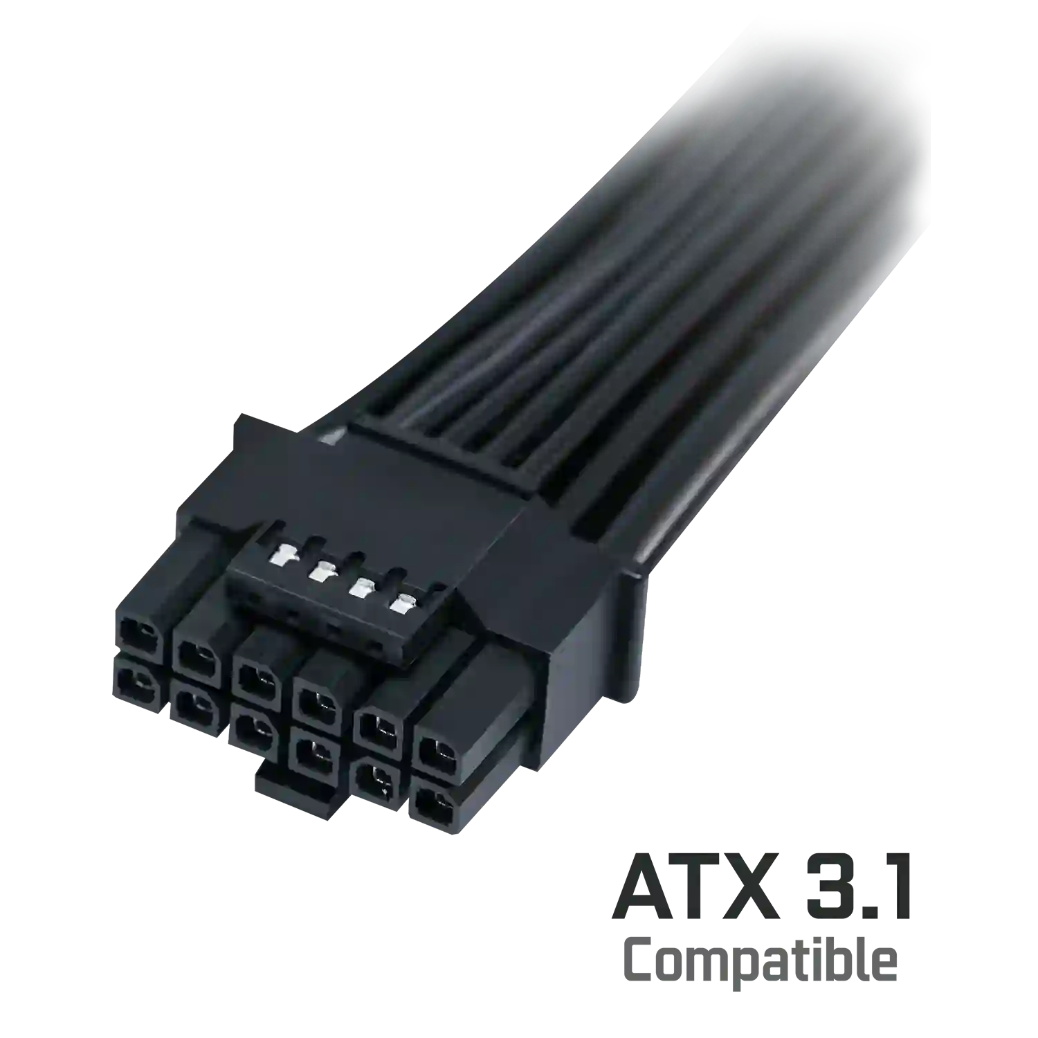 Совместимость с ATX 3.1