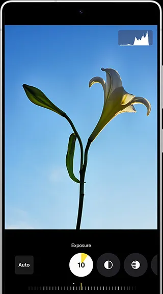 От профессиональной съемки до редактирования