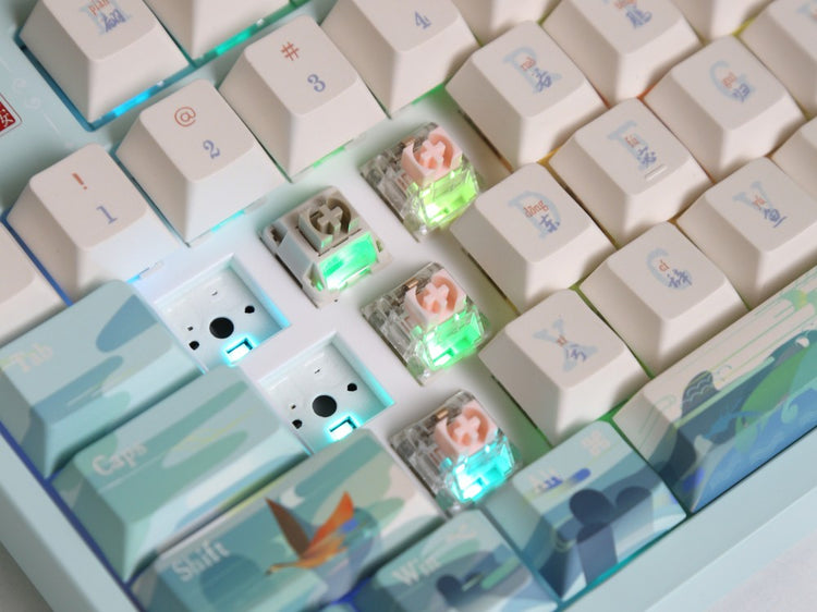 С возможностью горячей замены