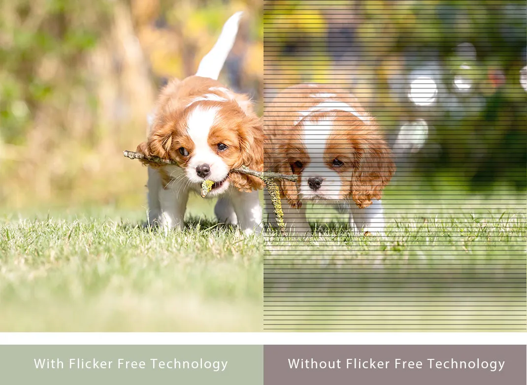 Технология Flicker Free