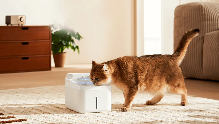 Три режима работы