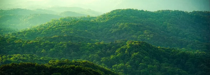 Экологические стандарты