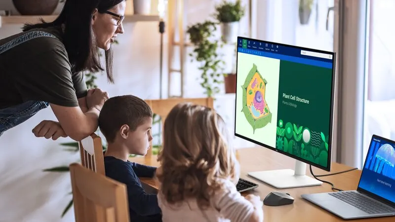 Бесконечные развлечения