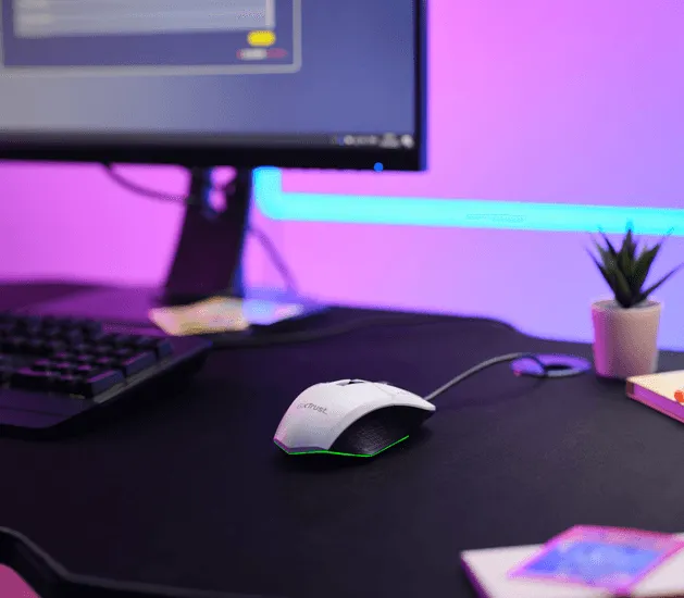 Суперзвезда программного обеспечения