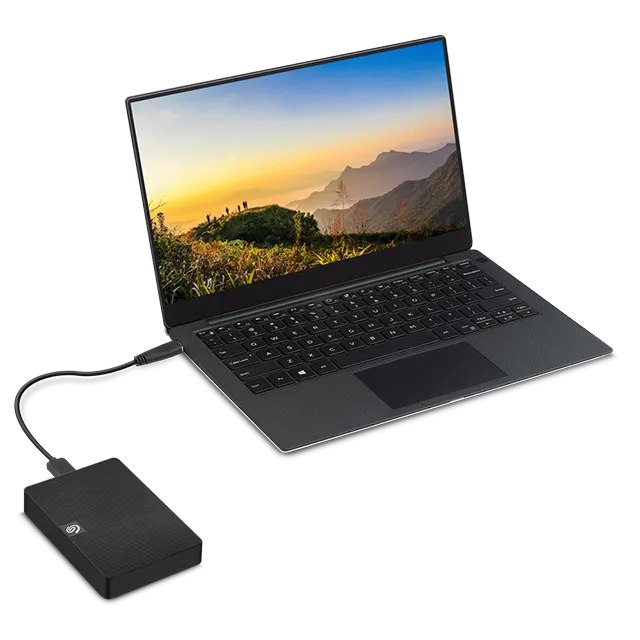 Подключаемое мгновенное хранилище