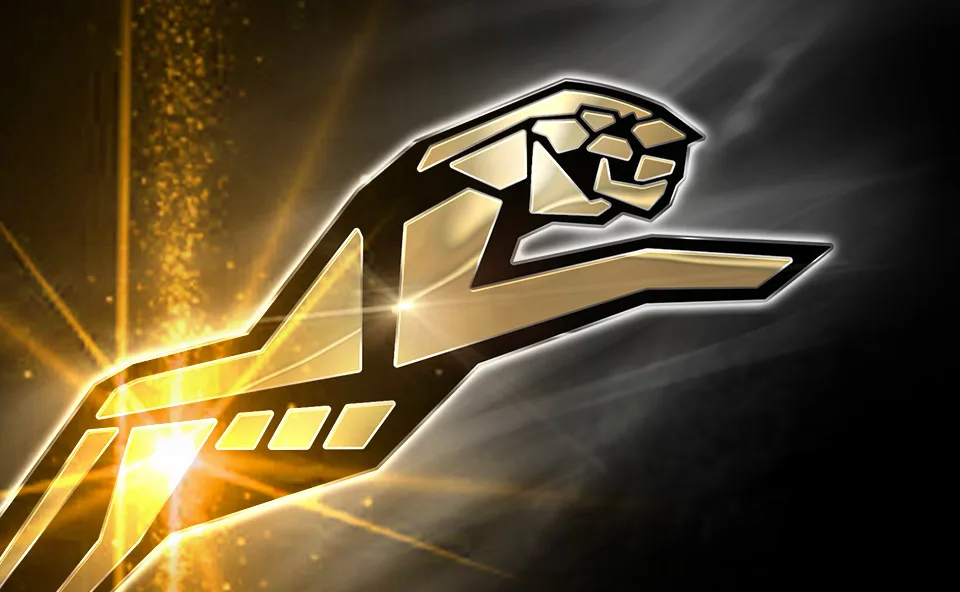 НАСЛАЖДАЙТЕСЬ ДОСТОЙНОЙ СКОРОСТЬЮ ЧТЕНИЯ ДО 550 МБ/С