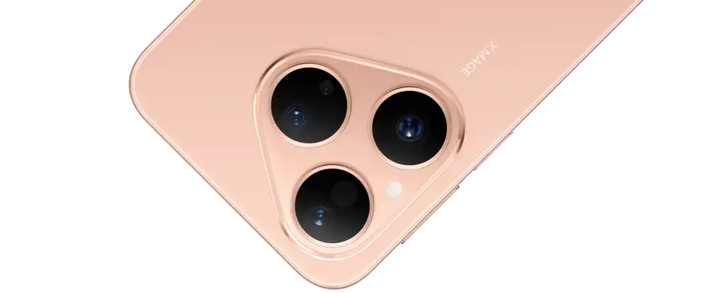 Великолепие красок