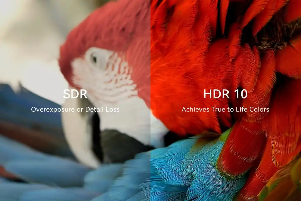 HDR10 обеспечивает реалистичные цвета