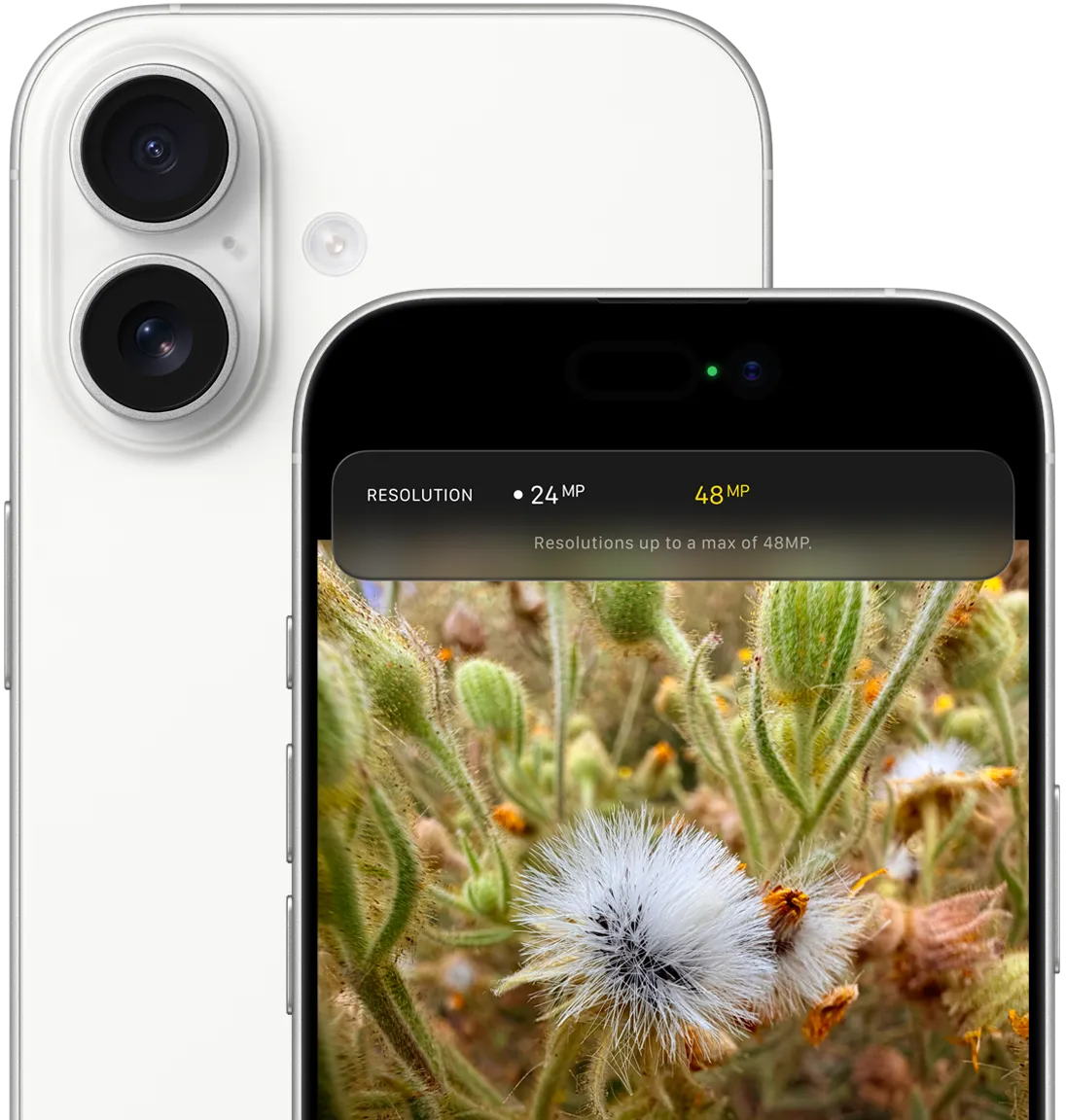 Система камер Dual Fusion 48 МП. Потрясающие снимки как вблизи, так и издалека.