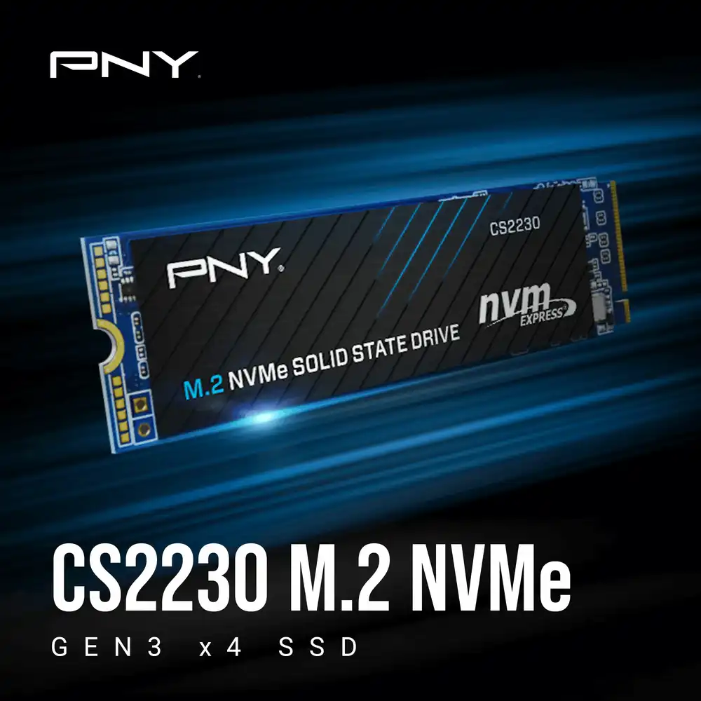 CS2230 M.2 NVMe SSD