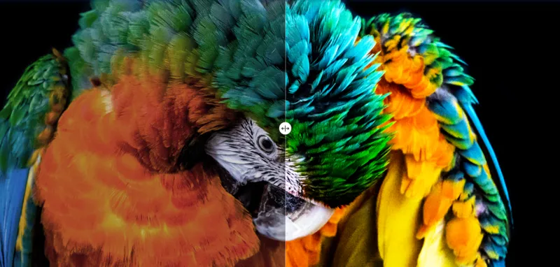 Оживите контент