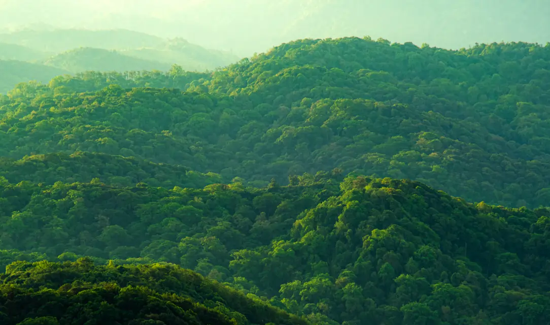 Экологические стандарты