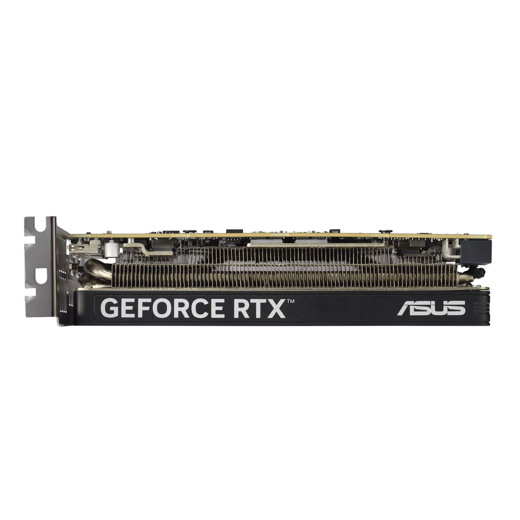 Видеокарта Asus GeForce RTX5060 8Gb LP BRK OC Edition (RTX5060-O8G-LP-BRK) [8 ГБ, GDDR7, 128 бит, HDMI, DisplayPort (3 шт)]